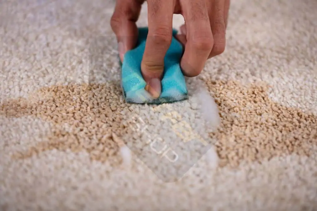 Ev leke çıkarıcı ile halı lekesi temizliği